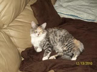 http://i196.photobucket.com/albums/aa101/janblount/100_0486.jpg