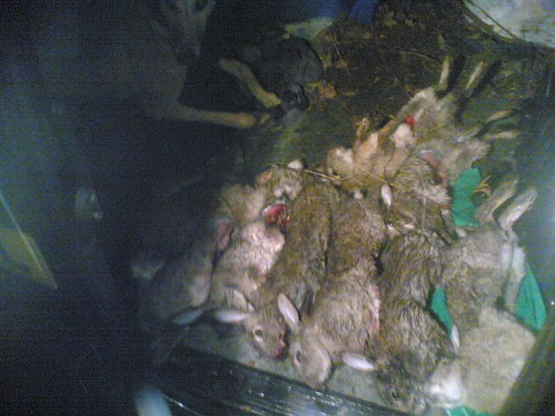 Picture081.jpg