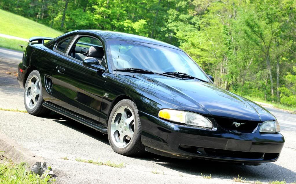 mustang3.jpg