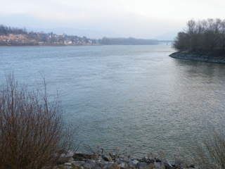M&uuml;ndungsbereich der Melk in die Donau