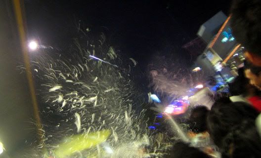 Photo Sharing and Video Hosting at Photobucket