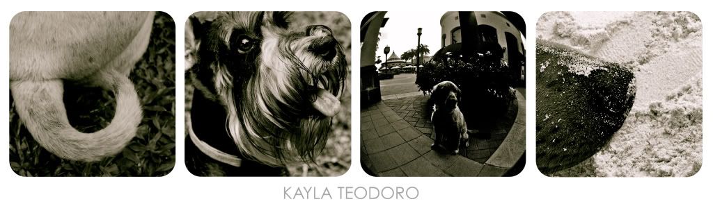 Photography by Kayla Teodoro