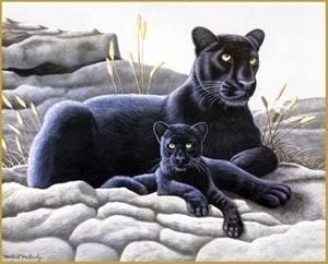 dp-black-panther-cub-jw.jpg