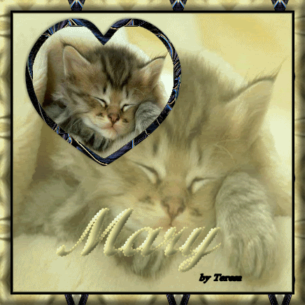 marygato.gif picture by marycaetano