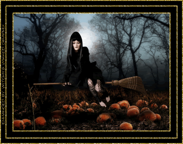  photo wiccan_110_witchyswikkedgraphix.gif