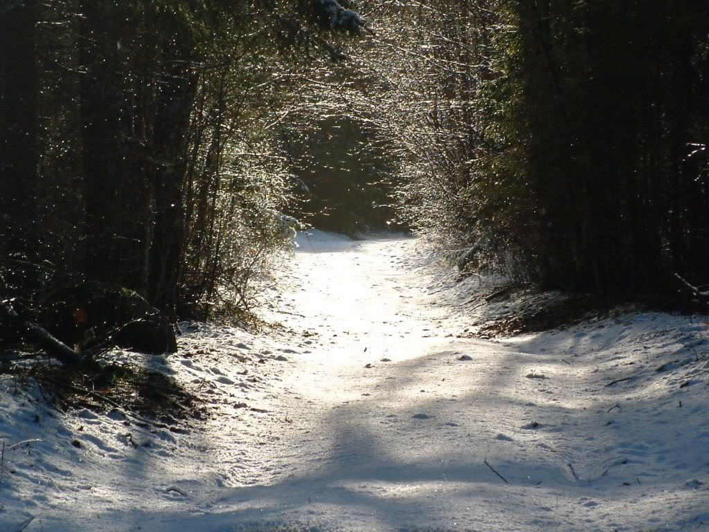 [Pilt: DSCF0079_1.jpg]