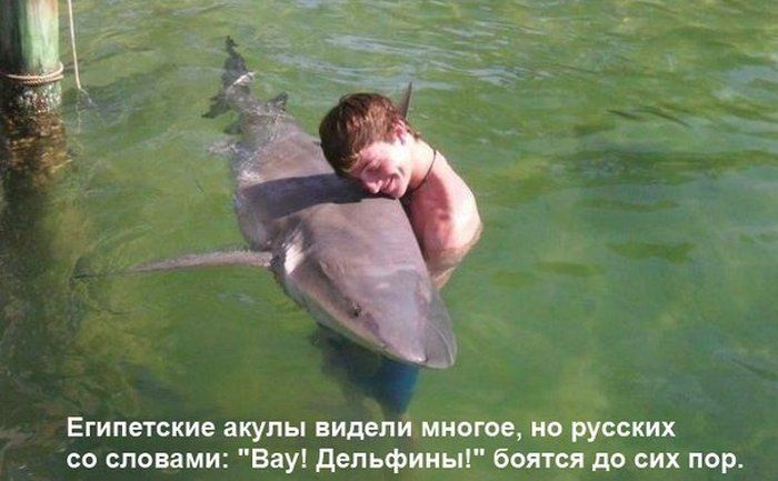 [Pilt: pics-072-1.jpg]