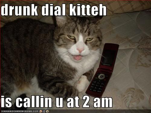 drunk cat photo: Drunk Dial Kitteh funny-pictures-your-cat-is-drunk-di.jpg