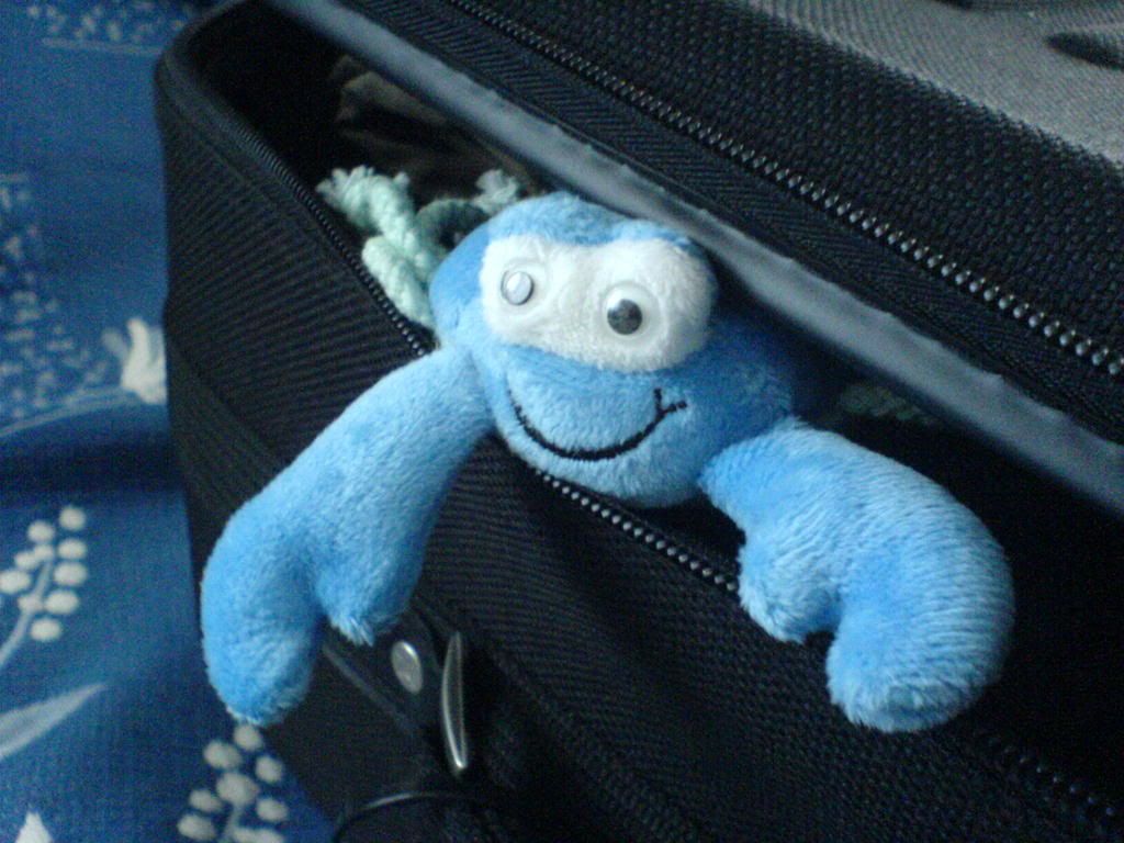 Herr Krabbe im Reisefieber