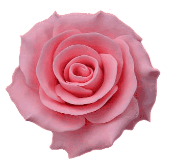 Rosa-Rose-ausgeschnitten.gif