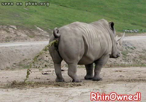 [Image: Rhinopoop.jpg]