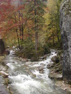 Some Pics from Romania