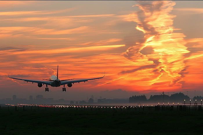 [Image: A330Amsterdam.jpg]