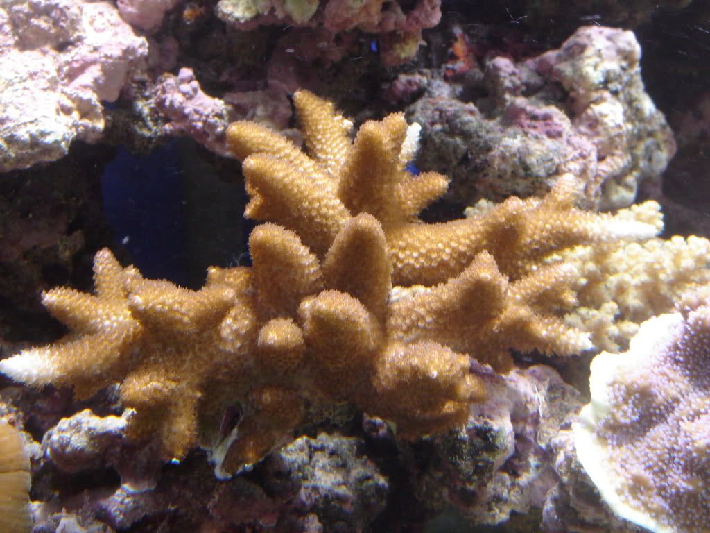 DSC06053.jpg