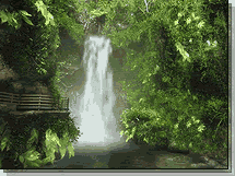442672p9bfbn0984.gif picture by nieveschuchi