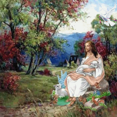 8-12.gif picture by nieveschuchi