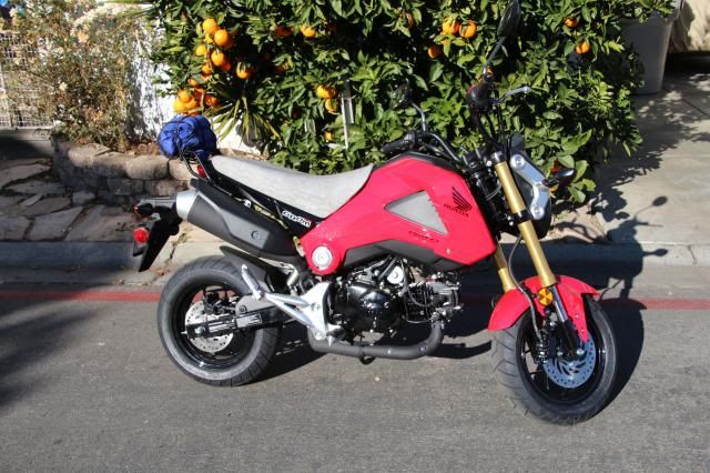 grom saddlebags