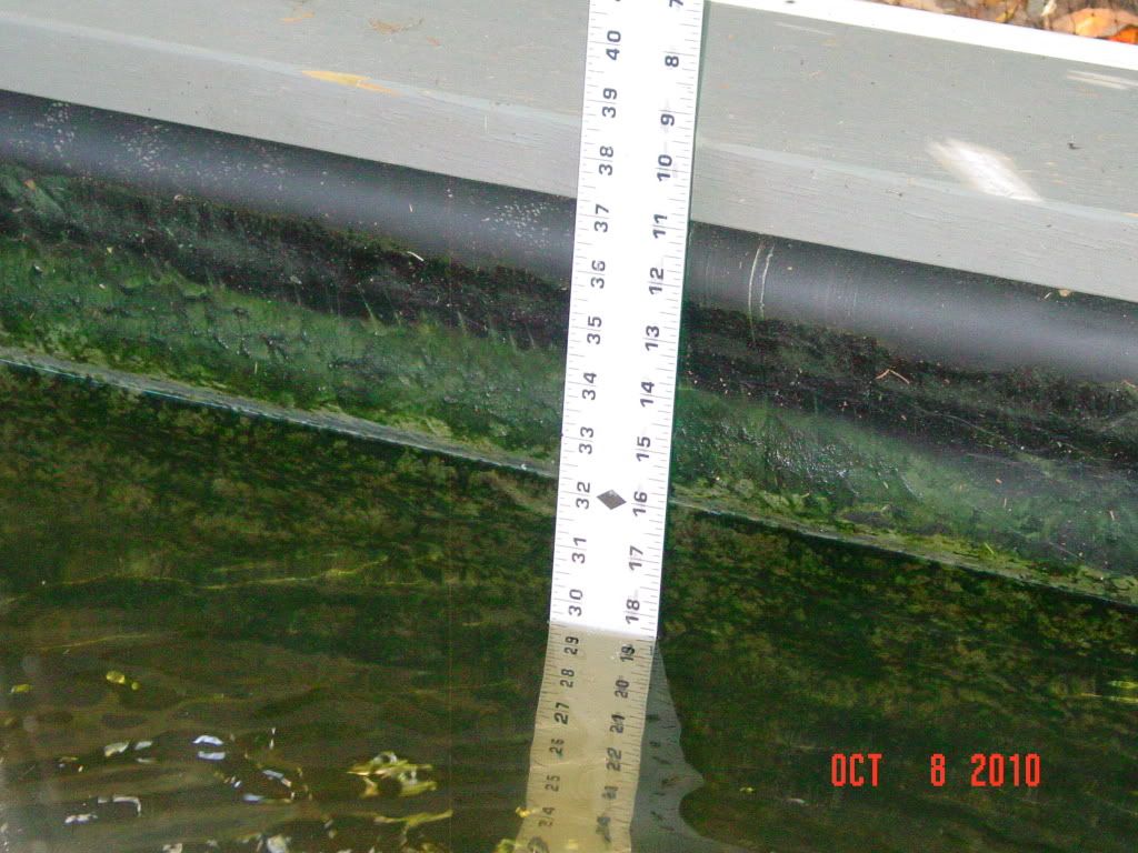 How to find a leak in a liner? Garden Pond Forums