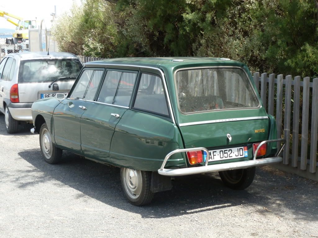 P1010028.jpg