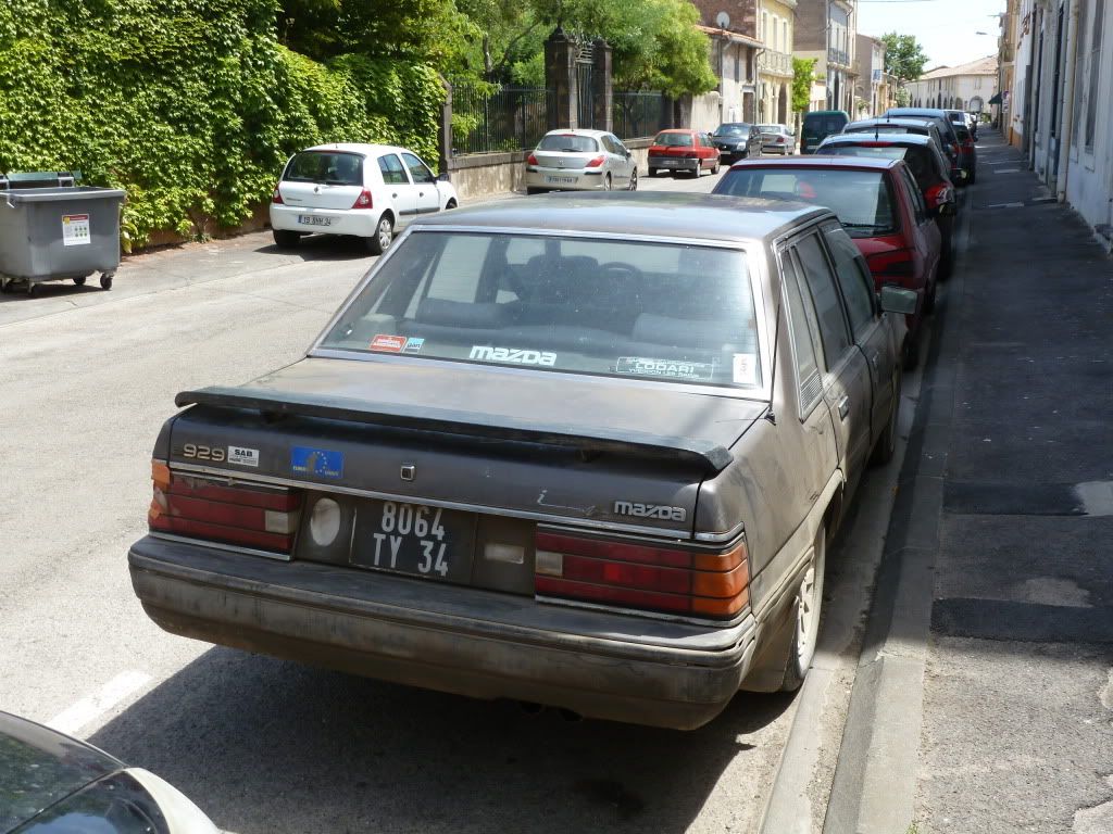 P1010030.jpg