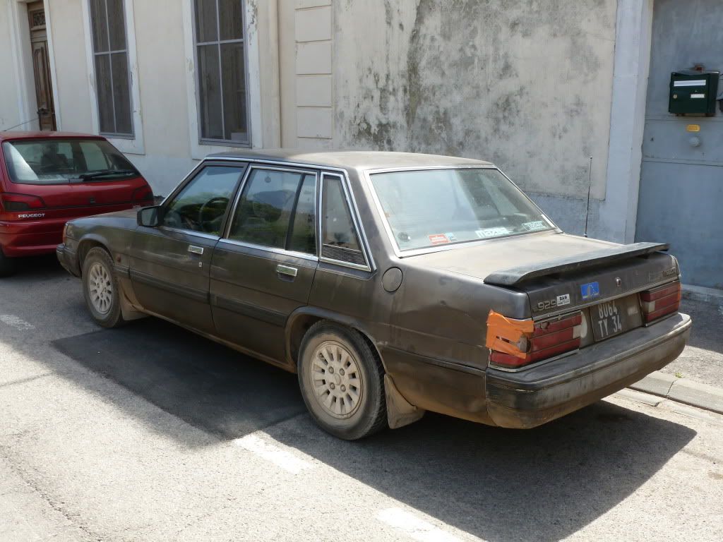 P1010031.jpg