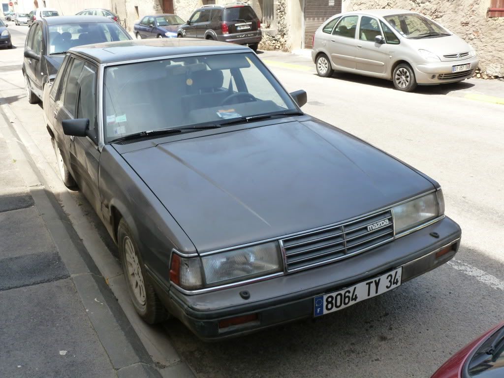 P1010032.jpg