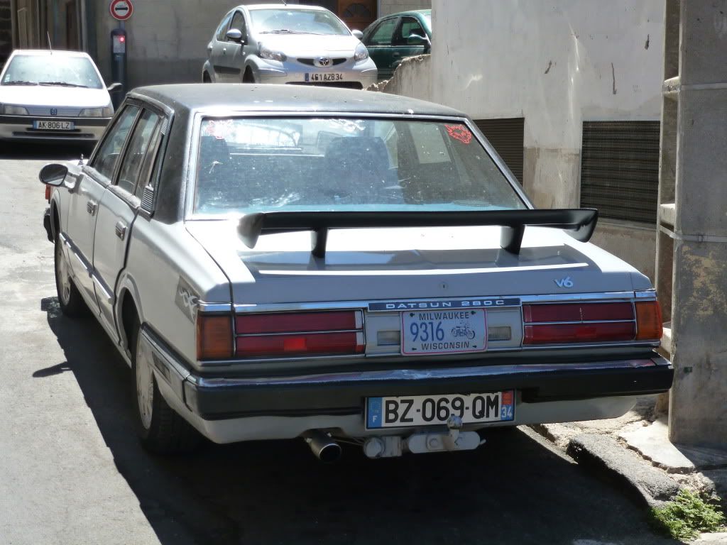 P1010063.jpg