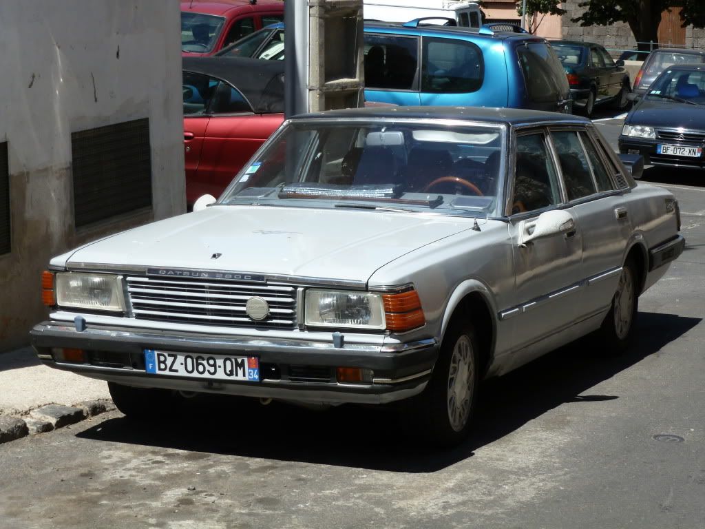 P1010064.jpg