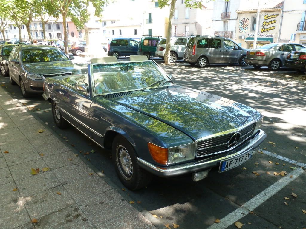 P1010065.jpg