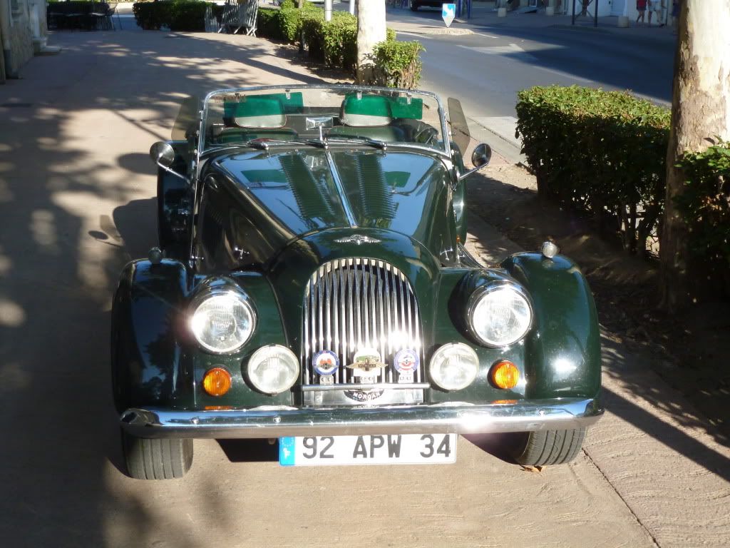 P1010146.jpg
