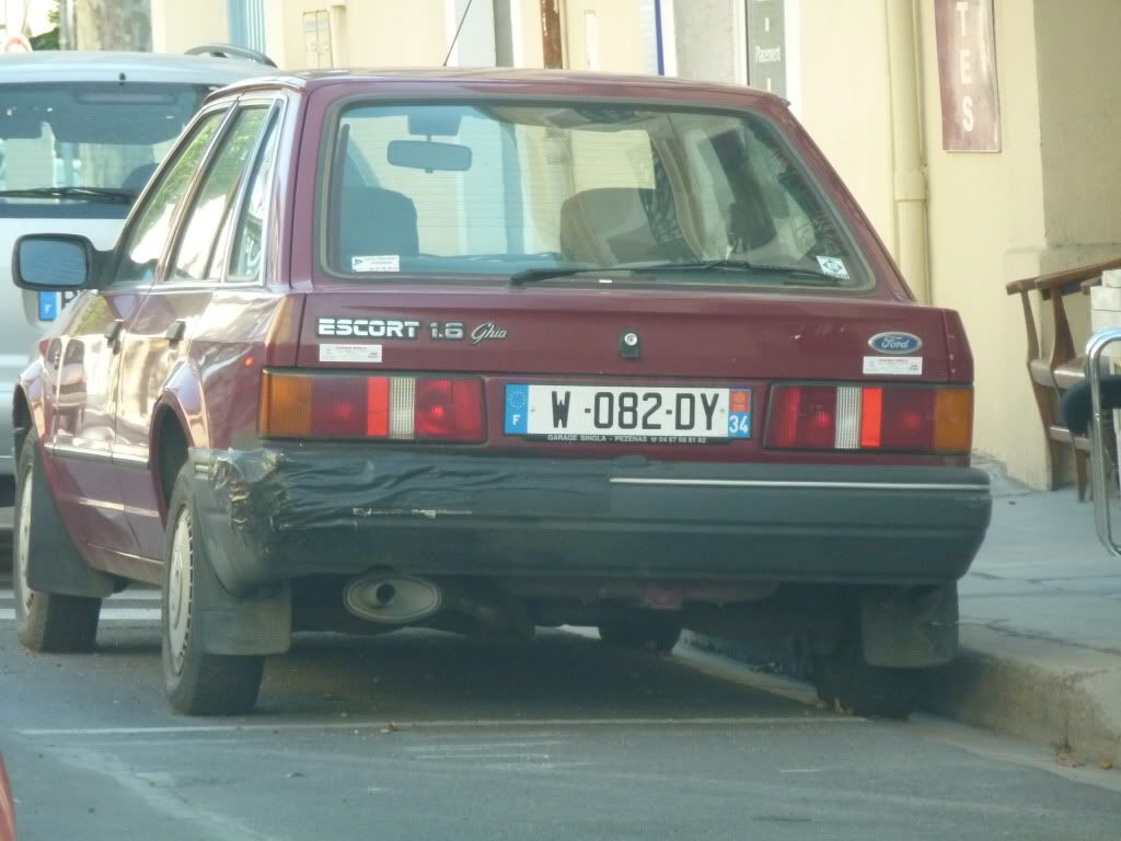 P1010354.jpg
