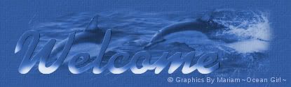 dolphin welcome