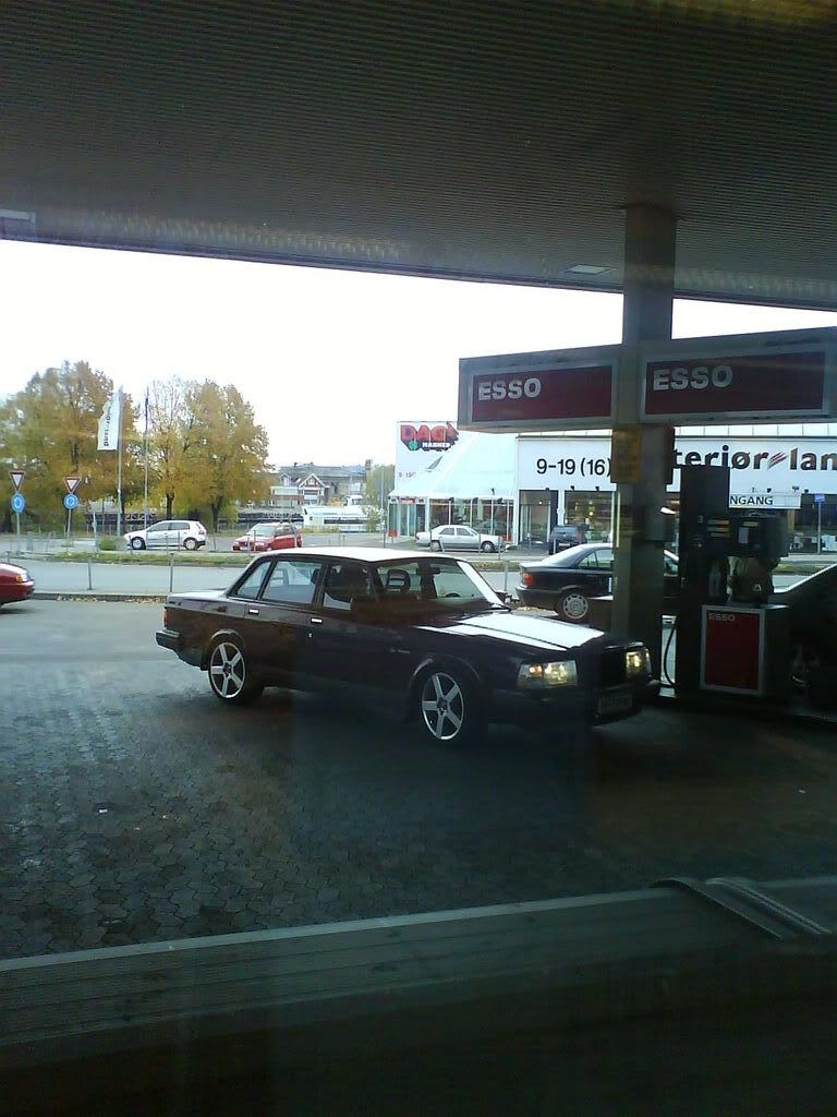 DSC00102.jpg?t=1203886491