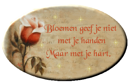 bloemen-1.gif bloemen geef je niet met de hand image by pukkie_02