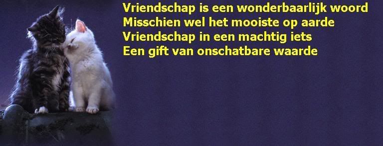 tweekatenmeteengedichtje.jpg gedichtje vrienschap image by pukkie_02