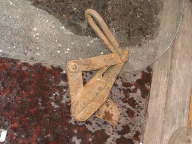 Pilt