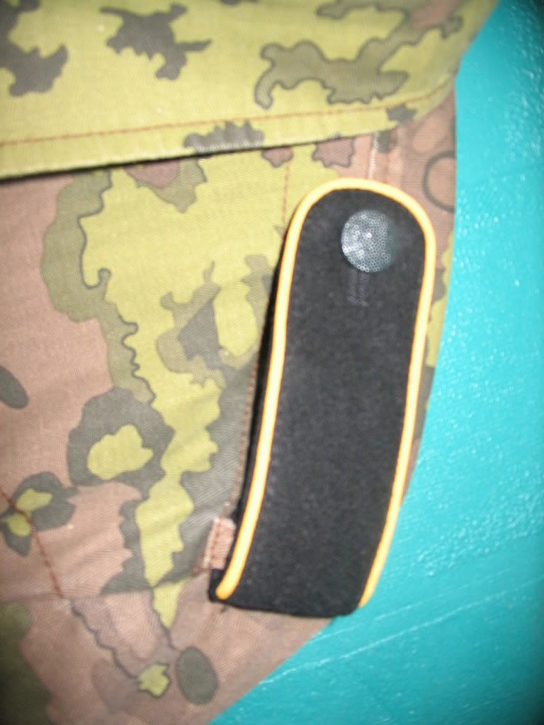 Pilt