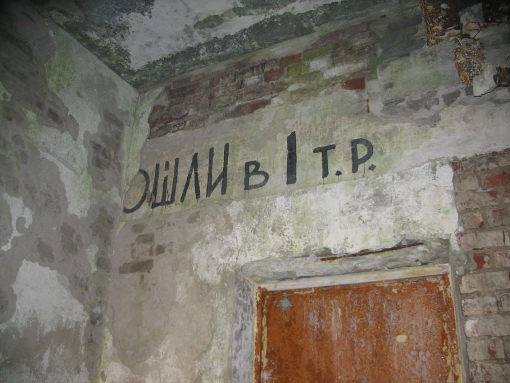 Pilt