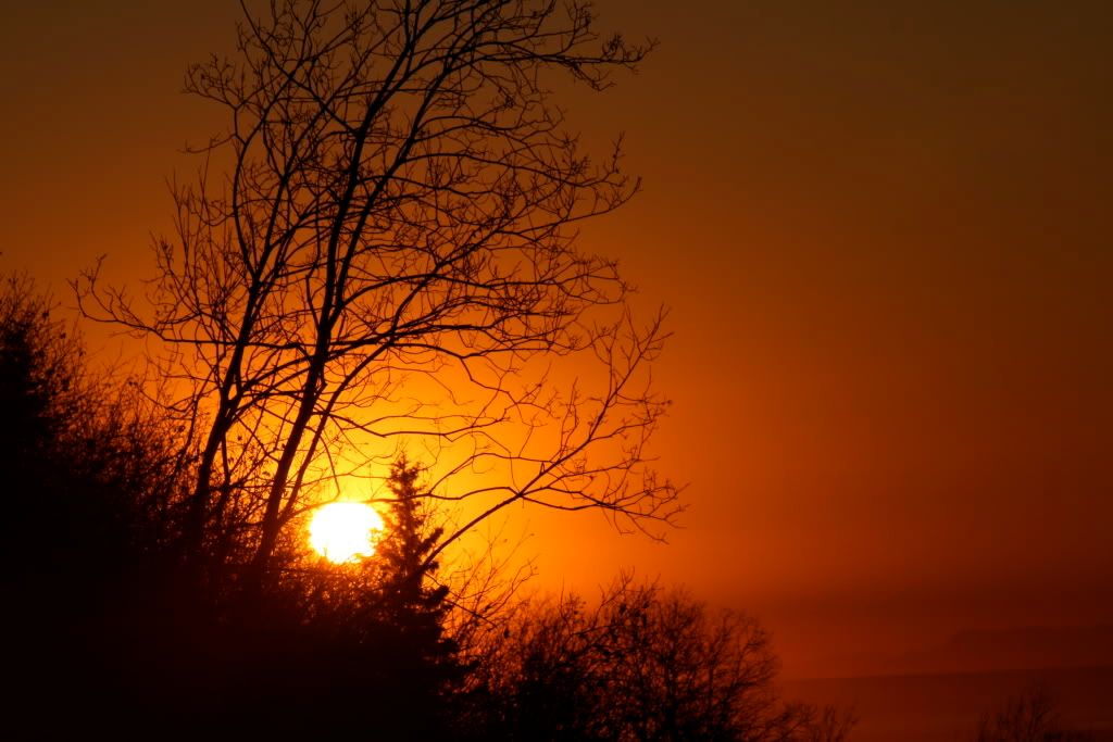 IMAGE: http://i196.photobucket.com/albums/aa267/snowboarder232/IMG_0223.jpg