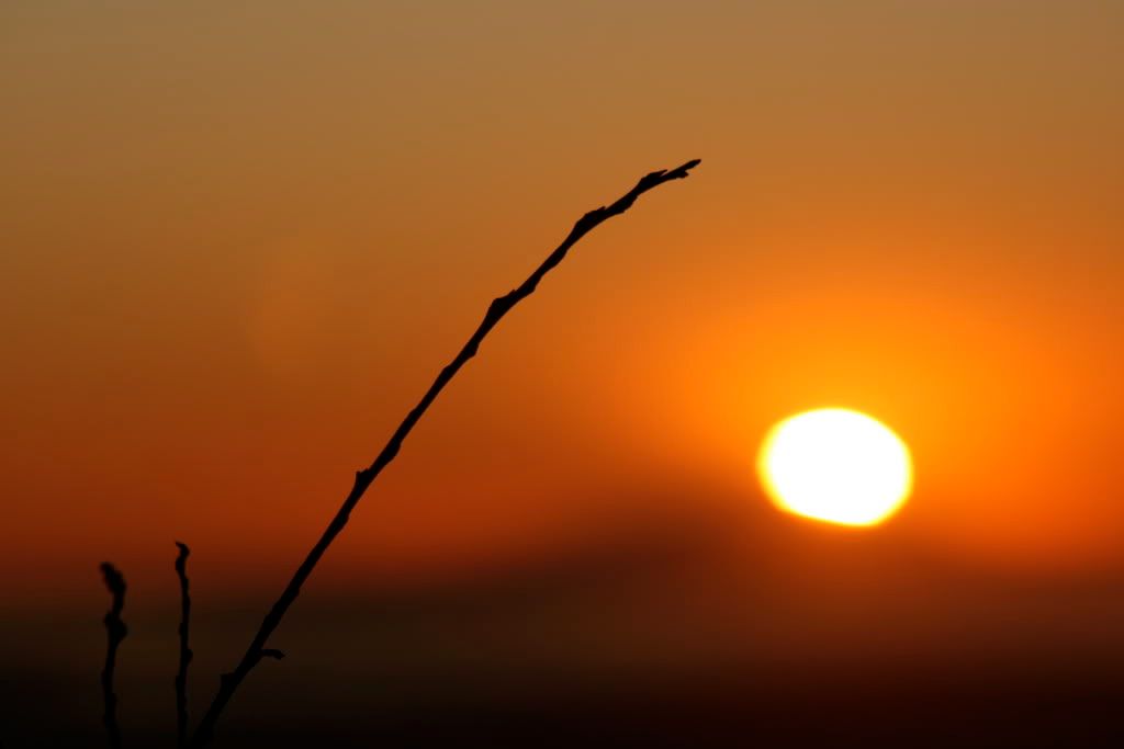 IMAGE: http://i196.photobucket.com/albums/aa267/snowboarder232/IMG_0261.jpg