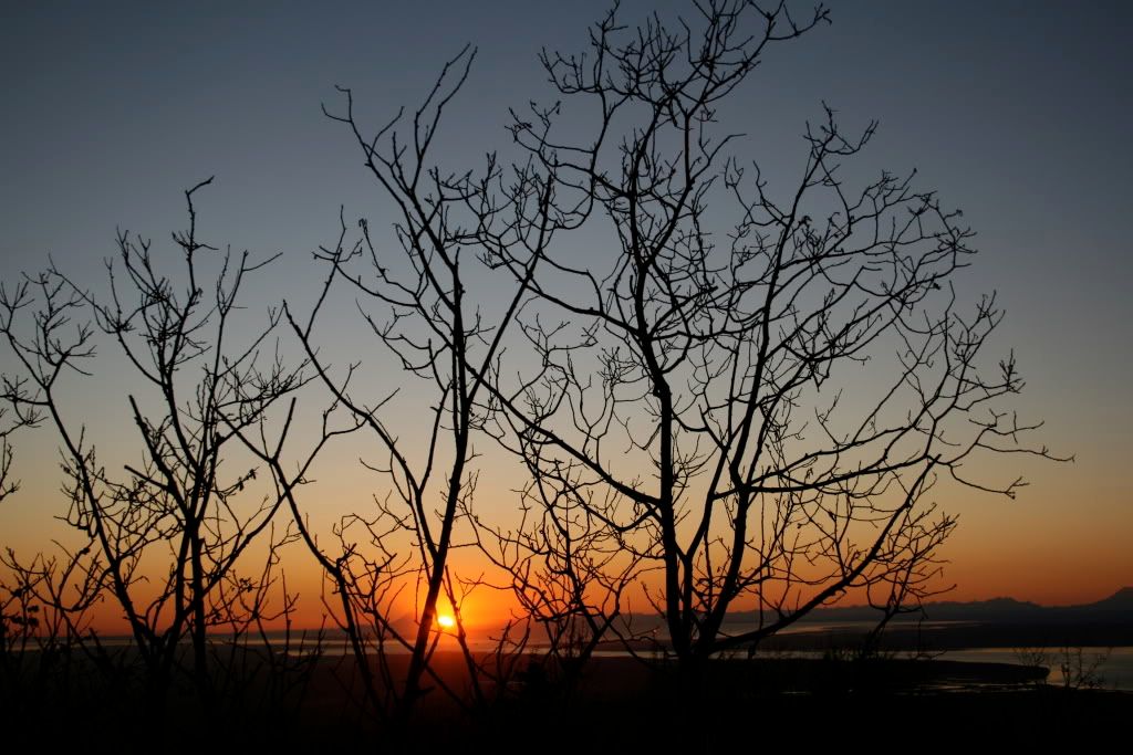 IMAGE: http://i196.photobucket.com/albums/aa267/snowboarder232/IMG_0267.jpg