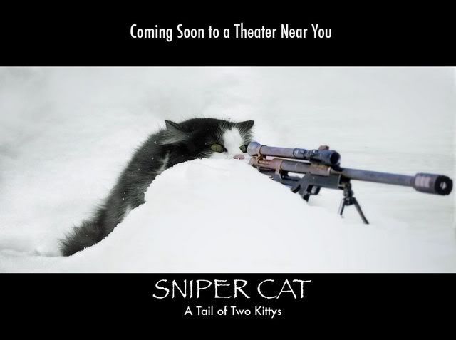 snow_sniper_catTR.jpg