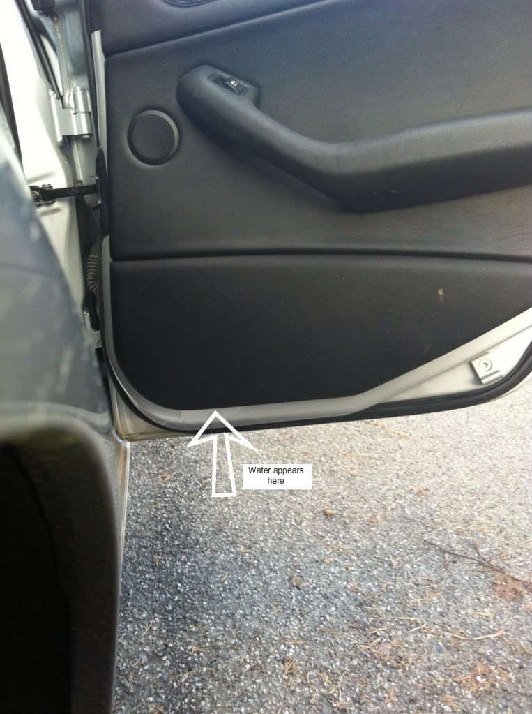 Bmw e46 door leak