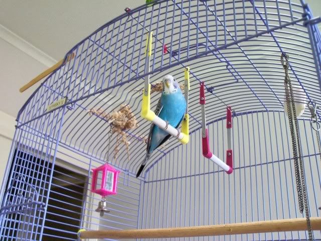 Kikki-1.jpg?t=1339063036