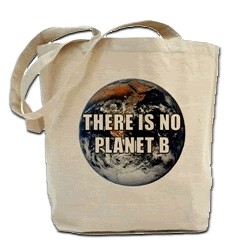 "There is no Planet B" tote bag, available at the My Left Wing Store