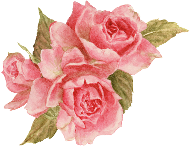 jane shasky photo JaneShasky3.png