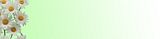 StoreHTMLbackground.jpg Store HTML background image by shinyi6100