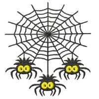 spiders Pictures, Images and Photos