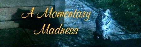 Momentary Madness banner