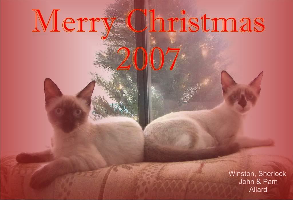 winstonandsherlockchristmascard07.jpg